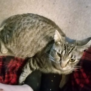 Meet your Posher, Deliana